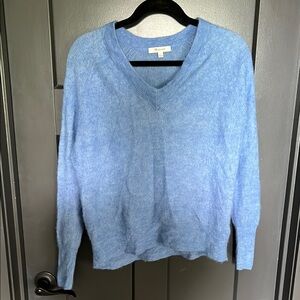 Madewell Blue V-Neck Sweater